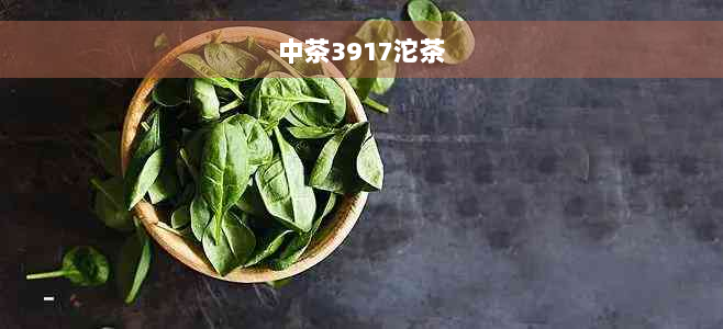 中茶3917沱茶