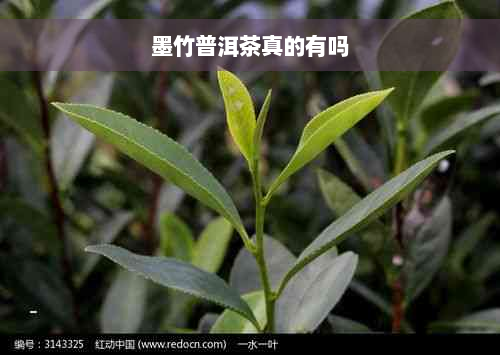 墨竹普洱茶真的有吗