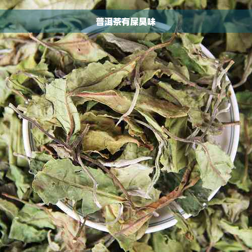 普洱茶有屎臭味