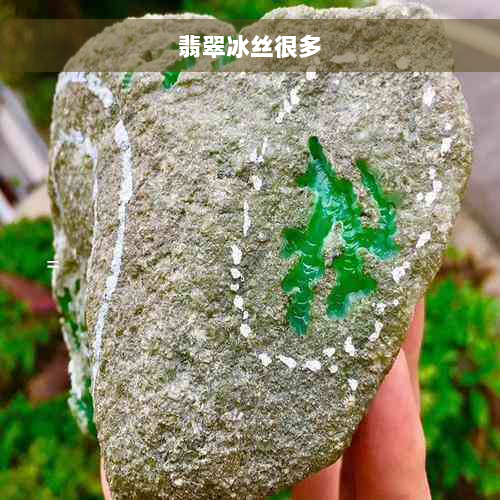 翡翠冰丝很多