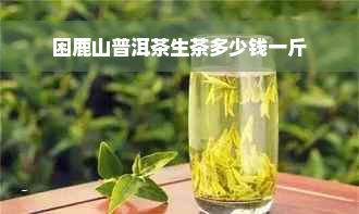 困鹿山普洱茶生茶多少钱一斤