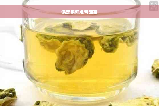 保定鹏程牌普洱茶