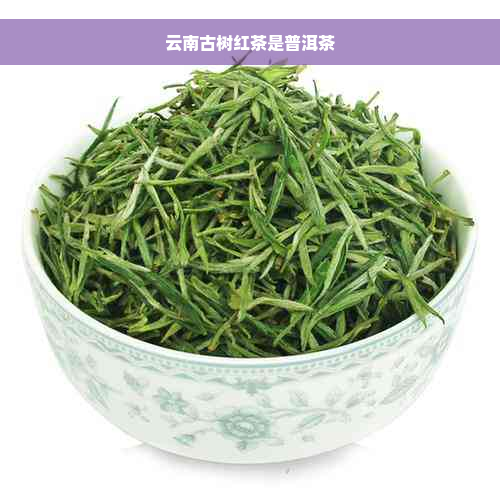 云南古树红茶是普洱茶