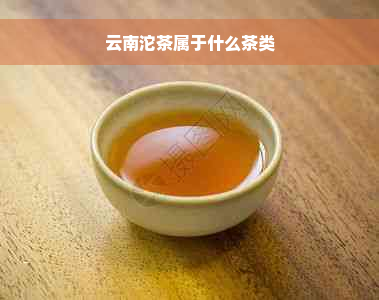 云南沱茶属于什么茶类