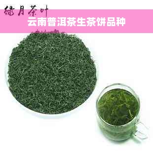 云南普洱茶生茶饼品种