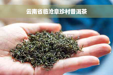 云南省临沧章珍村普洱茶