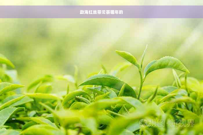 勐海红丝带沱茶哪年的