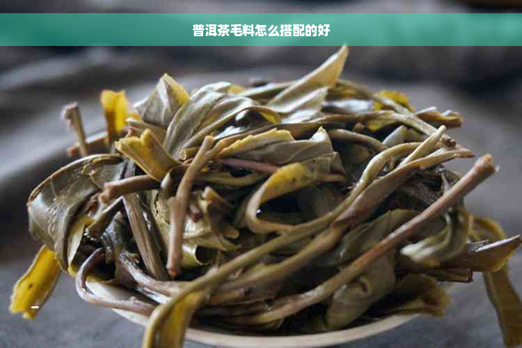 普洱茶毛料怎么搭配的好