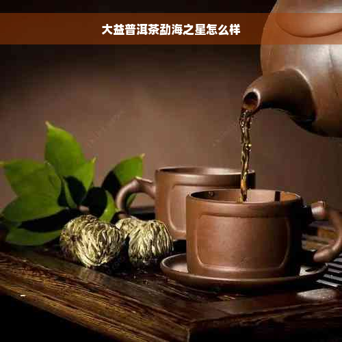 大益普洱茶勐海之星怎么样