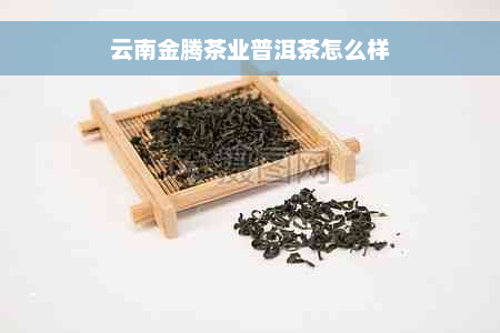 云南金腾茶业普洱茶怎么样