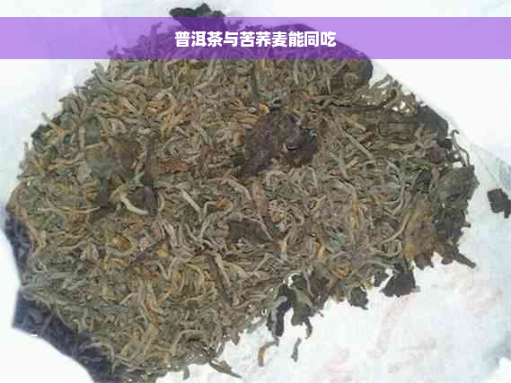 普洱茶与苦荞麦能同吃