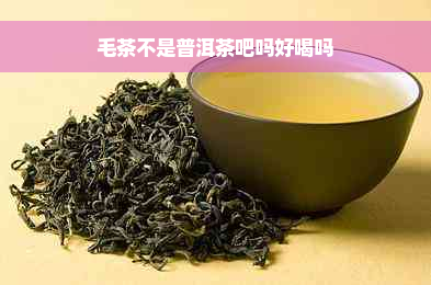 毛茶不是普洱茶吧吗好喝吗