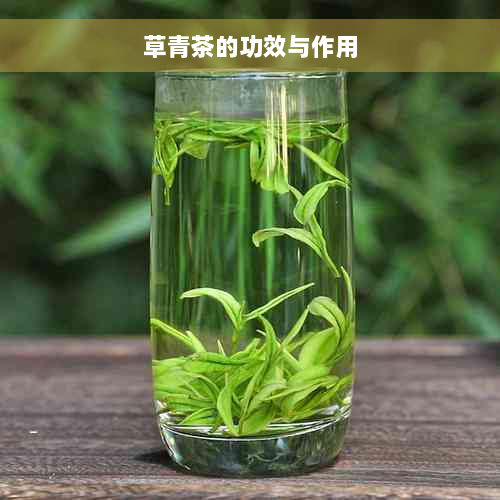 草青茶的功效与作用