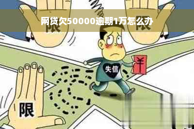 网贷欠50000逾期1万怎么办