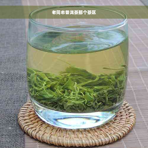 老同志普洱茶那个茶区