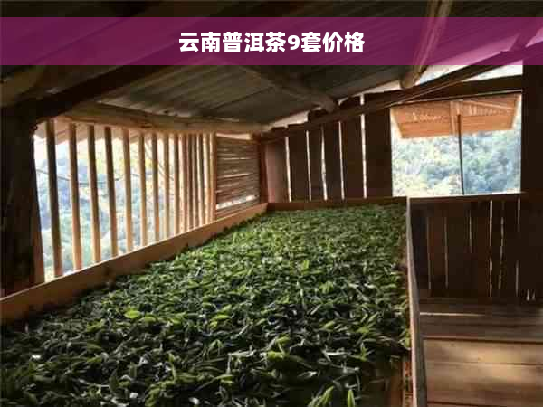 云南普洱茶9套价格