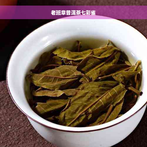 老班章普洱茶七彩雀