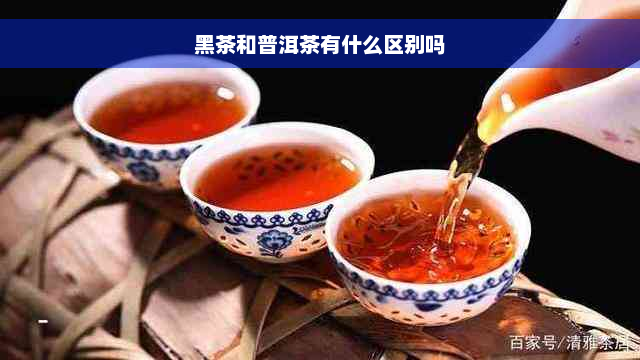 黑茶和普洱茶有什么区别吗