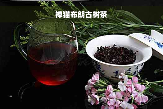 禅猫布朗古树茶