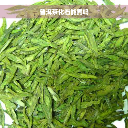 普洱茶化石能煮吗