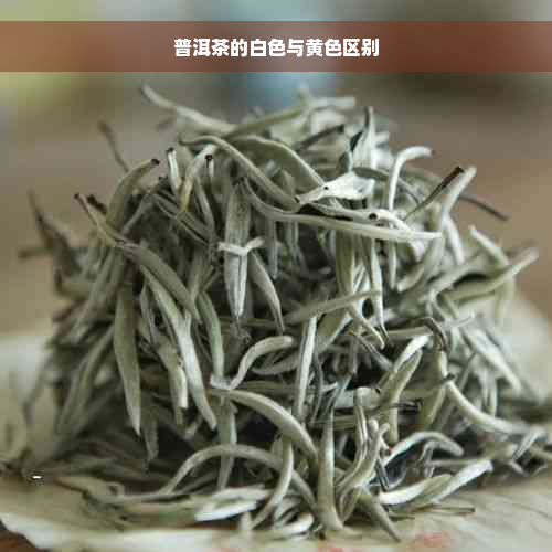 普洱茶的白色与黄 *** 别