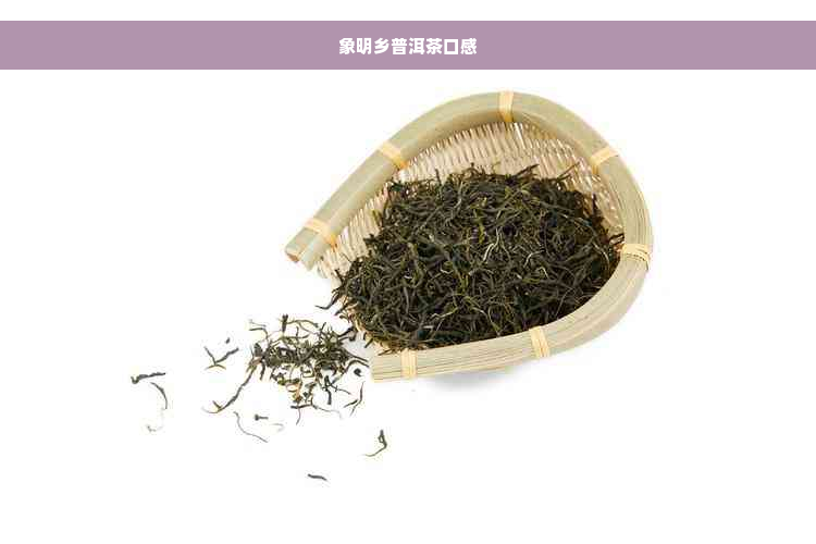 象明乡普洱茶口感