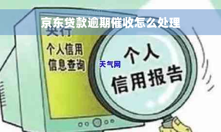 京东贷款逾期催收怎么处理