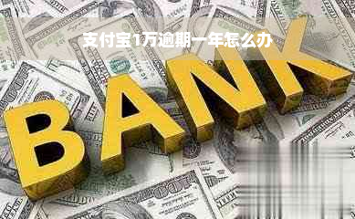 支付宝1万逾期一年怎么办