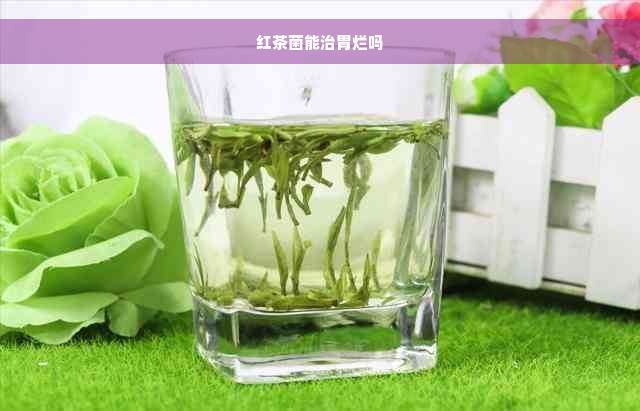 红茶菌能治胃烂吗