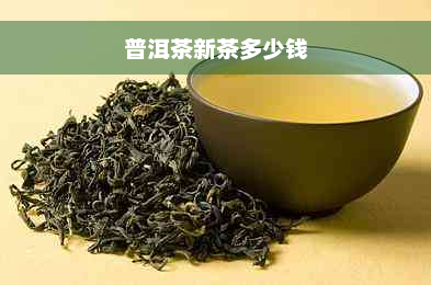 普洱茶新茶多少钱