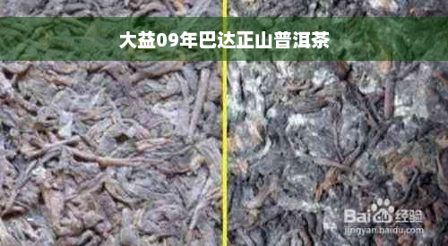 大益09年巴达正山普洱茶