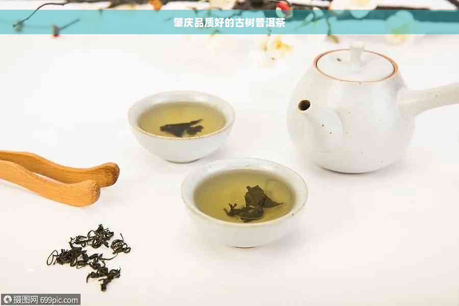 肇庆品质好的古树普洱茶