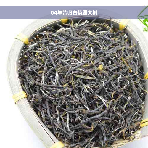 04年昔归古茶绿大树