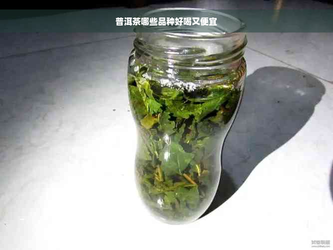 普洱茶哪些品种好喝又便宜