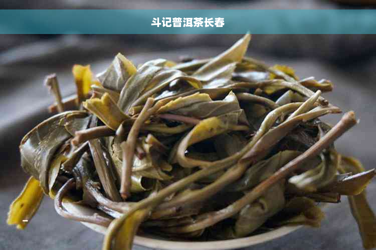 斗记普洱茶长春