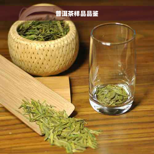 普洱茶样品品鉴