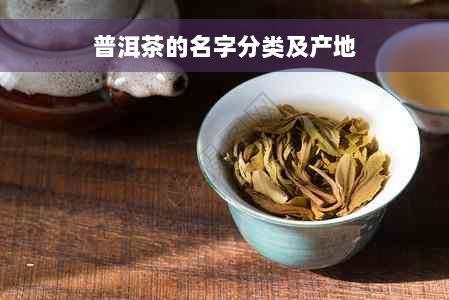 普洱茶的名字分类及产地