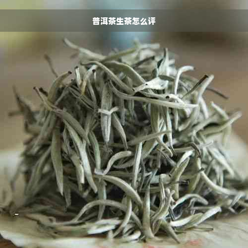 普洱茶生茶怎么评