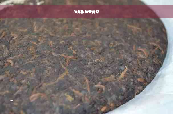 福海银福普洱茶