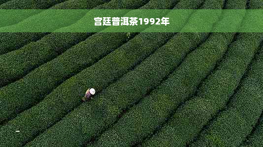 宫廷普洱茶1992年