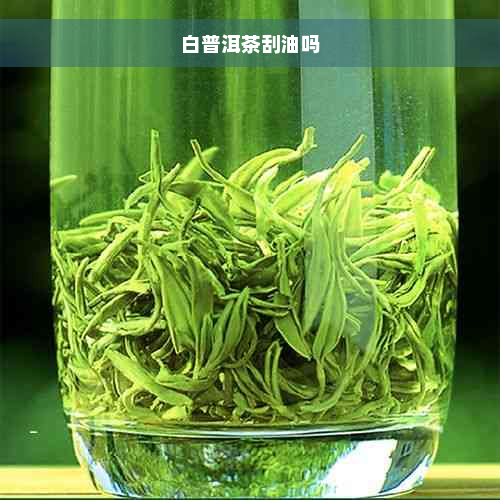 白普洱茶刮油吗