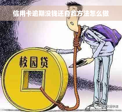 信用卡逾期没钱还自救方法怎么做