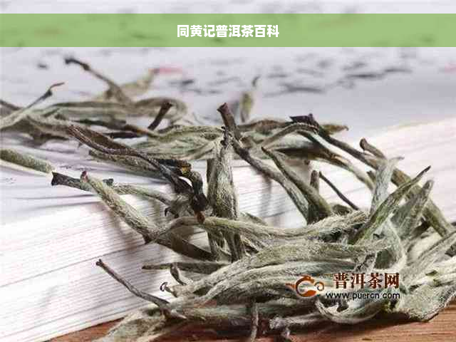 同黄记普洱茶百科