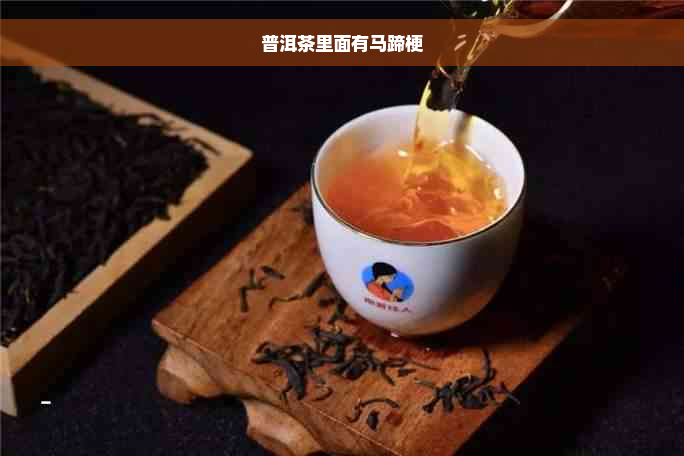 普洱茶里面有马蹄梗