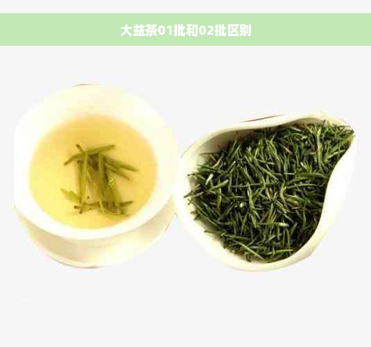 大益茶01批和02批区别