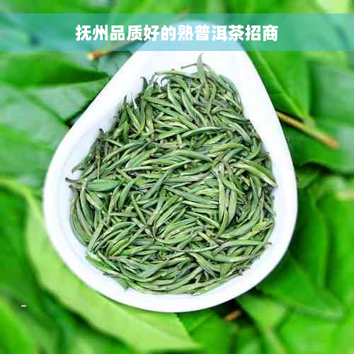 抚州品质好的熟普洱茶招商