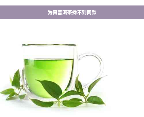 为何普洱茶找不到同款