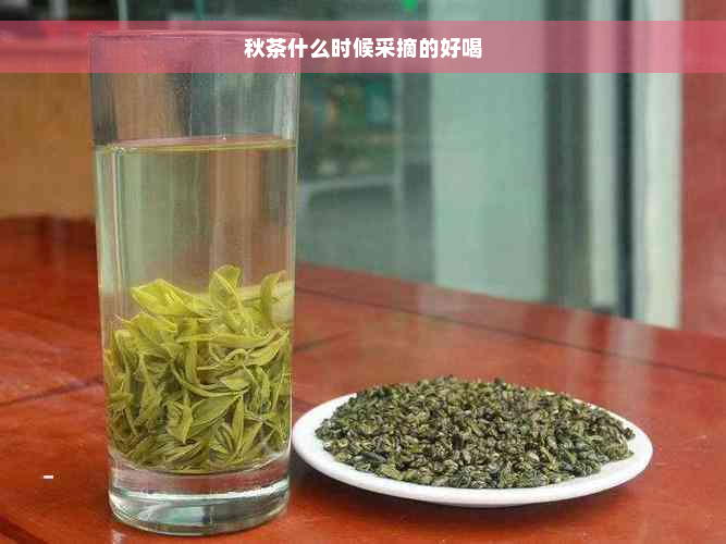 秋茶什么时候采摘的好喝