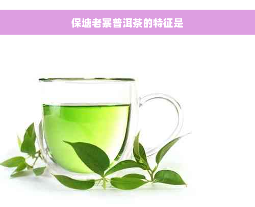 保塘老寨普洱茶的特征是