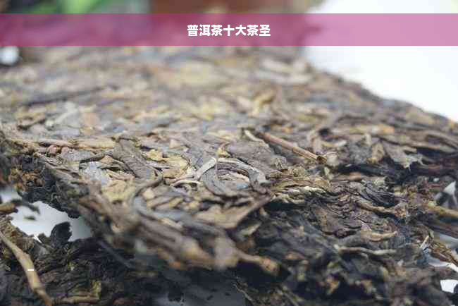 普洱茶十大茶圣